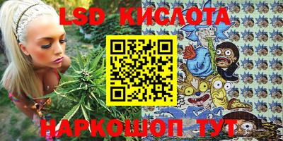 PSILOCYBIN Будённовск