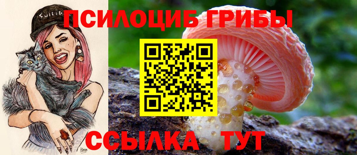 Мелеуз  Псилоцибиновые грибы мицелий  Вход с VPN 